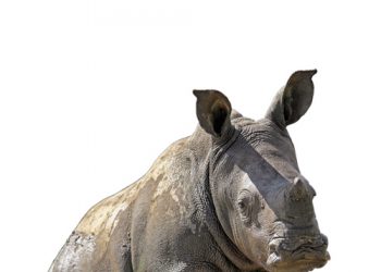 Bewaringsnuus uit ons kontrei