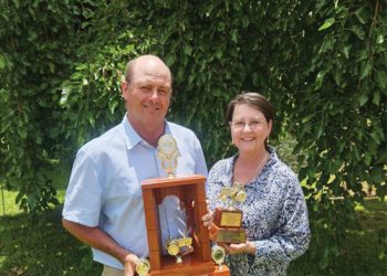 Uitblinker van studiegroep wys dat klein veranderinge tot groot suksesse lei