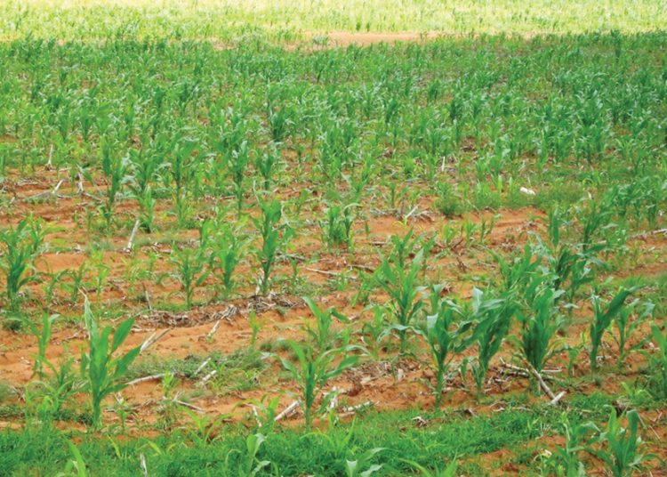 Identifiseer probleme met aalwurms betyds