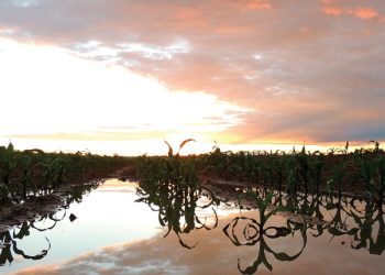 Klimaat se invloed op die plantdatum