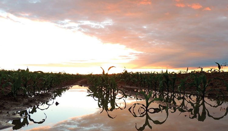 Klimaat se invloed op die plantdatum