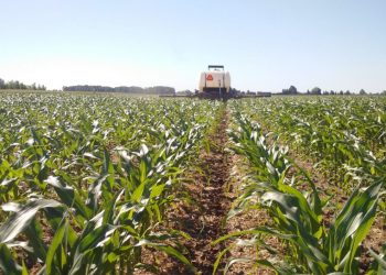 Beperk stikstofverliese in grond