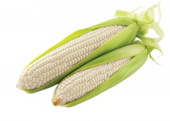 Maniere om die graanmark beter te verstaan