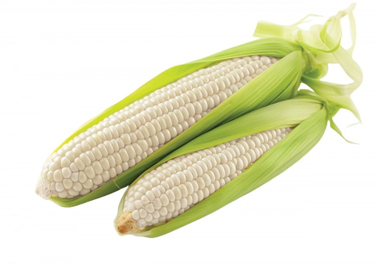 Maniere om die graanmark beter te verstaan