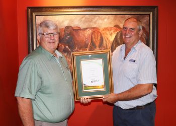 Voormalige groephoof van NWK tree uit nadat hy “al sy boksies tiek”