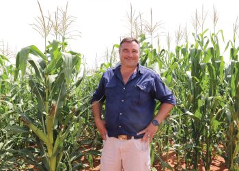 Bewaringslandbou moet die som laat klop