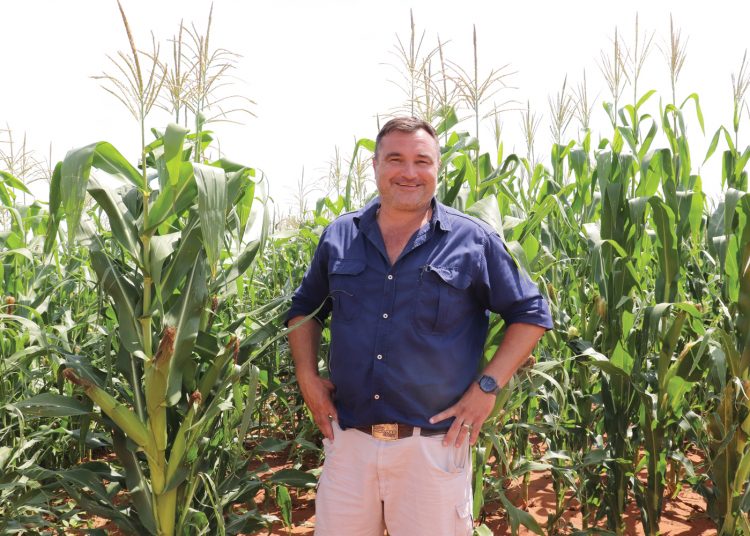 Bewaringslandbou moet die som laat klop