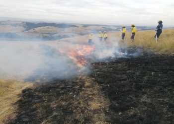 Brandstroke: Proaktiewe voldoening ’n móét