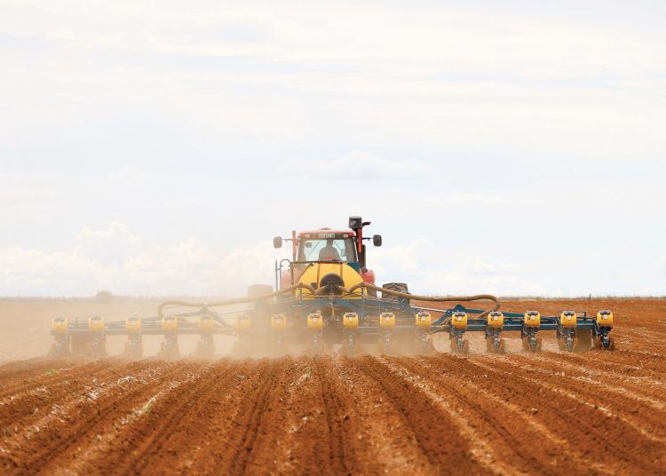 Plantvenster vir mielies steeds in die kol, toon weerdata