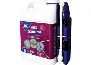 Kry só ’n grasgroen, onkruidvrye grasperk