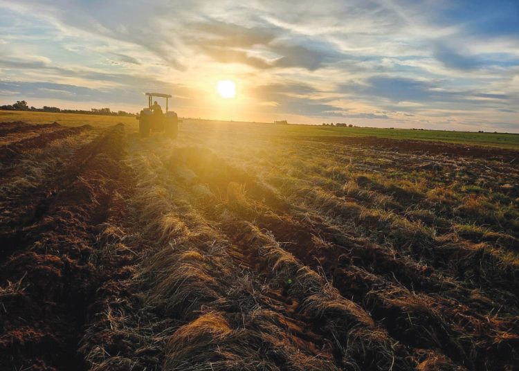 Praktiese riglyne vir die 1ste tree in boerdery