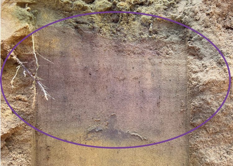 Ruk die grondfondasie reg met bekalking