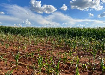 Ruk die grondfondasie reg met bekalking