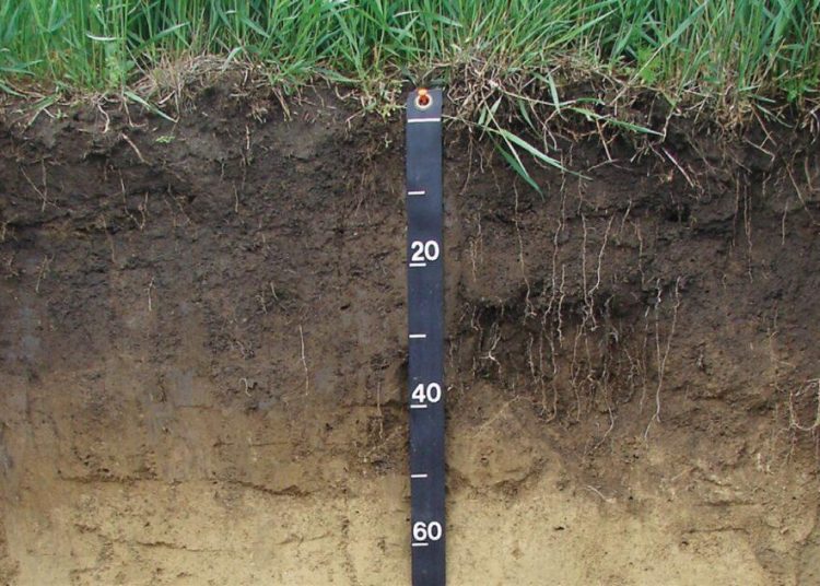 Die regte gronddiepte lei tot ’n beter opbrengs