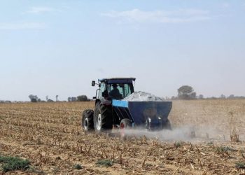 Bekamp grondversuring met landboukalk