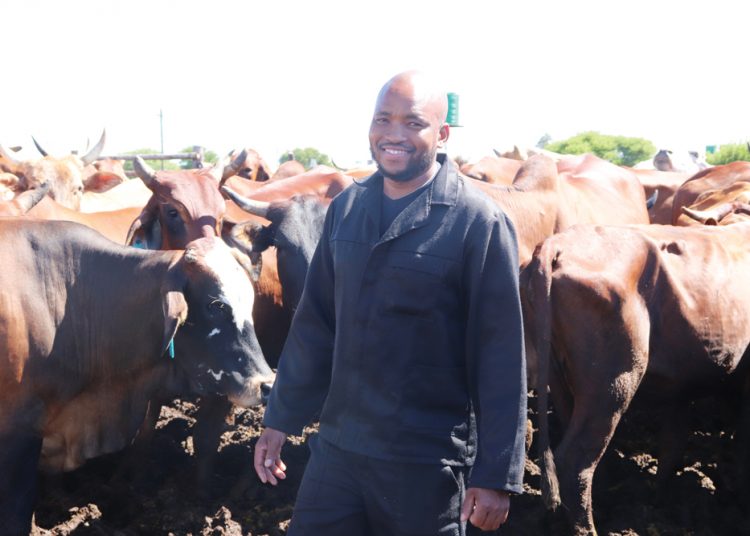 Award-winning young farmer determined to rise to the top