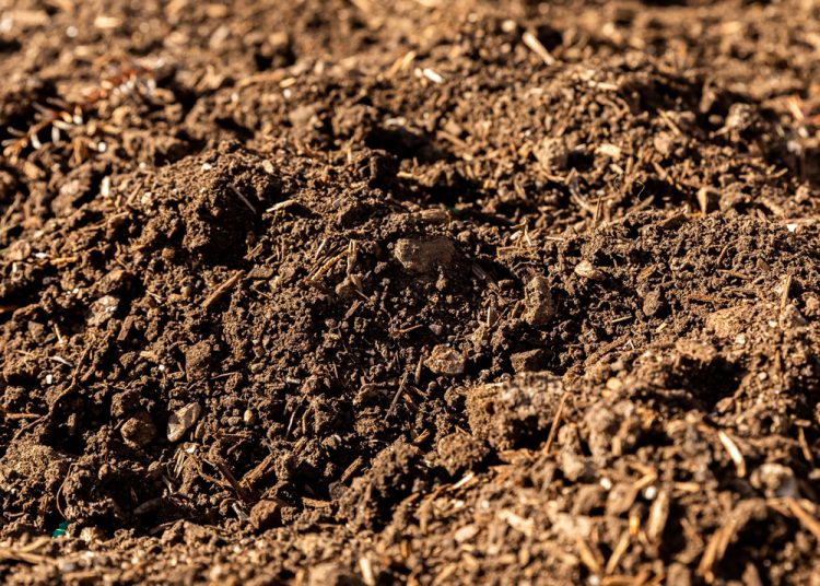 Die rol van KUK en grondkolloïede in landbou