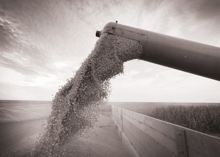 Winsgewende boerderye kan ook vasval met kontantvloei