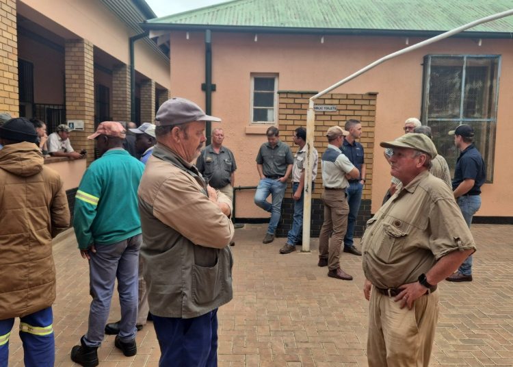 Bakerville-veediewe vas – produsente staan saam in hof