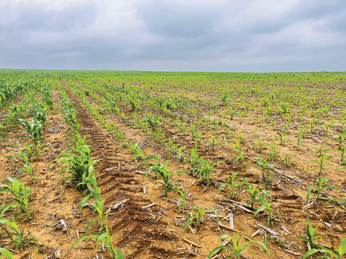 Optimise fertiliser use with soil nutrients