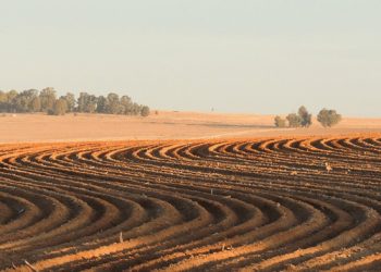 Landbou vandag